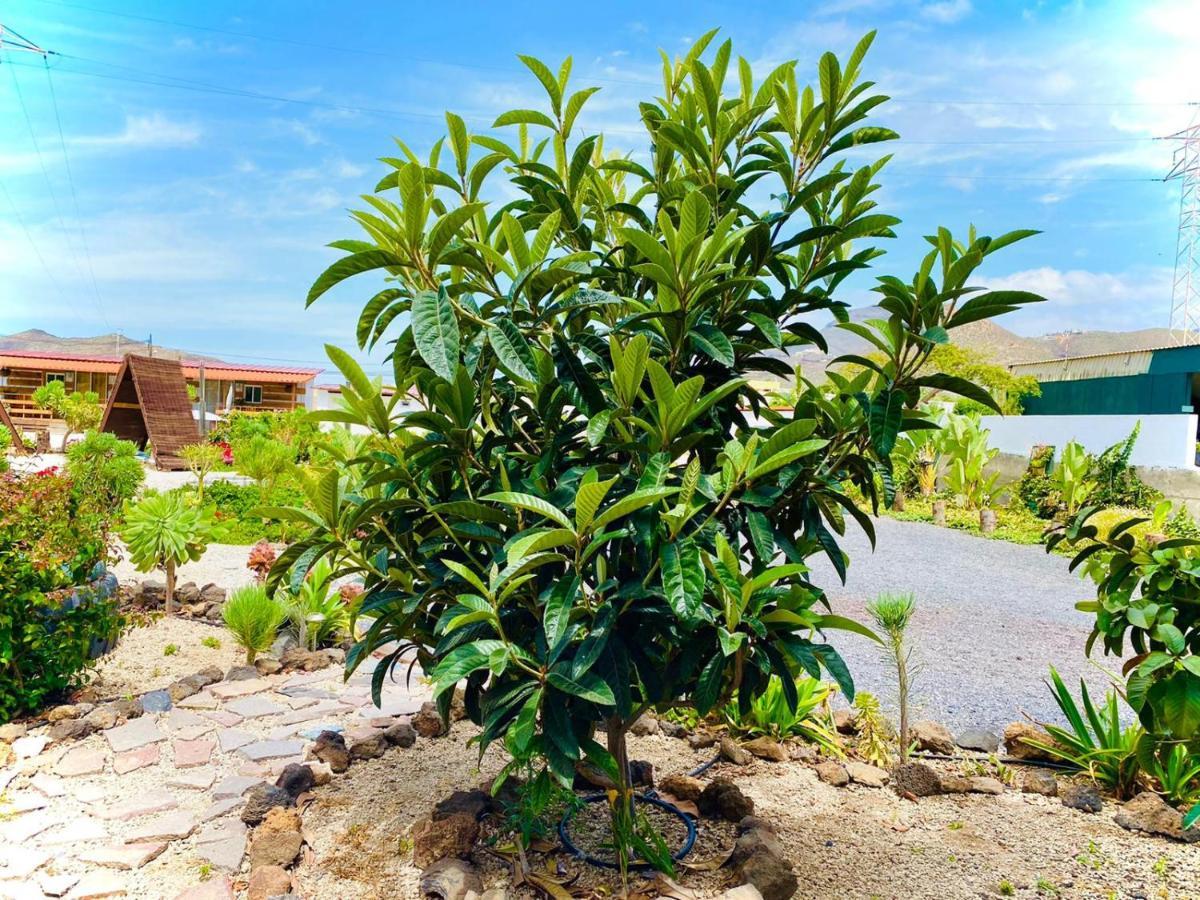 Buzanada Macaronesia Love Spa, Sauna Y Piscina מראה חיצוני תמונה